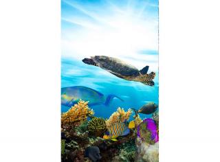 Dvoudílná vliesová fototapeta Korály a ryby v oceánu, rozměr 150x250cm, MS-2-0216
