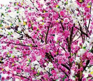 Foto závěs Růžové a bílé květy, 180x160cm, FCSXL 4806