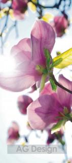 Fototapeta na dveře Fialové květy FTN v 2873, rozměr 90x202cm