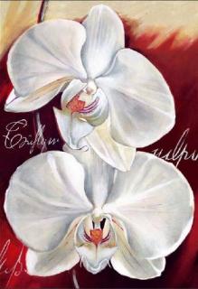 Plakát XXl Papermoon - Orchid , 175x115 cm, skladem poslední 1 ks