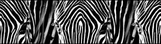 Samolepící bordura - Zebra, 13,8cm x 5m,  WB 8205