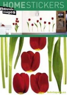 Samolepící dekorace Tulipes rouges, 50x70cm, 170.001133.03, skladem poslední 2 ks