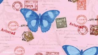 Samolepící dětská  fólie Decor - Motýli Varianta: Motýli, šíře 45cm, cena za 15m