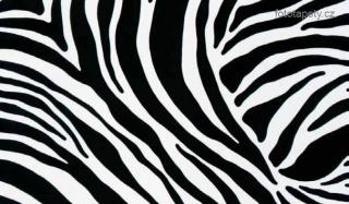 Samolepící fólie Decor, Zebra Varianta: Zebra, šíře 45cm, cena za 1 m