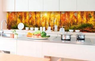 Samolepící fototapeta do kuchyně - Prosluněný les, 350x60cm, 084