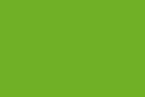 Samolepící tapeta jednobarevná matná - Citrónově zelená (Lemon green) Varianta:: šíře 45cm, cena za 1m