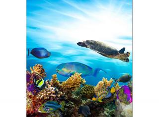 Třídílná vliesová fototapeta Korály a ryby v oceánu, rozměr 225x250cm, MS-3-0216