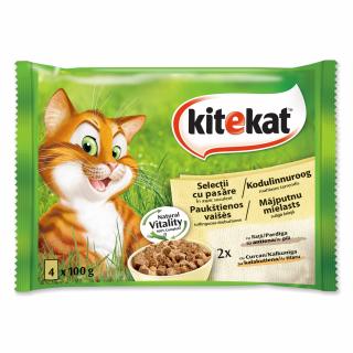 Kapsička KITEKAT Multipack drůbeží menu v želé BONUS 4x100g