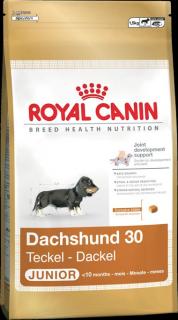 Royal Canin BHN JEZEVCIK JUNIOR 1,5kg