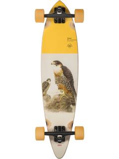 Globe - Pintail 34  Falcon - longboard