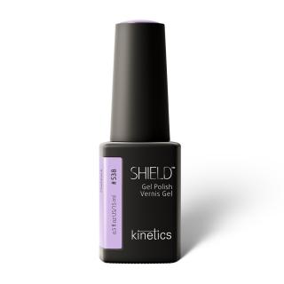 SHIELD #538 FLASHBACK 15ML