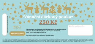 Vánoční dárkový poukaz 250 Kč mintový