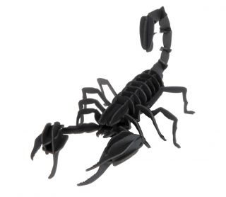 3D papírový model - škorpion