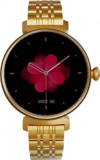Chytré hodinky SmartWatch HiFuture Future Aura (rose)