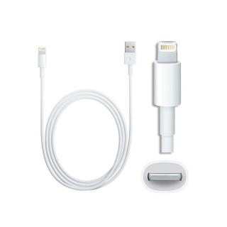 Originální kabel - Apple, USB/Lightning 100cm (EKO-BALENÍ)