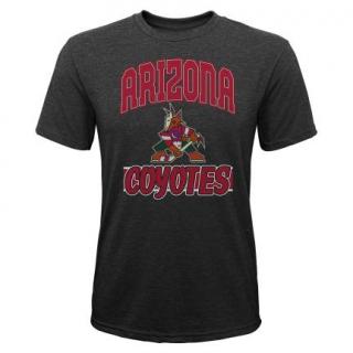 Dětské tričko Arizona Coyotes All Time Great Triblend Velikost: Dětské L (11 - 12 let)