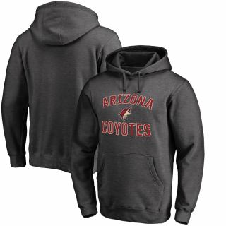 Mikina Arizona Coyotes Victory Arch Pullover Hoodie Velikost: L