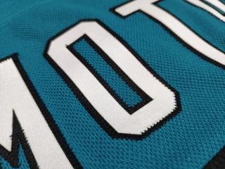 Potisk dresu nebo trička Hodnota: 4. Dres NHL - nalepený textil z USA pro dresy NHL vč. obšití jména a číslic (jméno a číslo na zádech + čísla na…