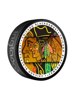 Puk Chicago Blackhawks Medallion Souvenir Collector Puck