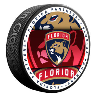 Puk Florida Panthers Medallion Souvenir Collector Puck
