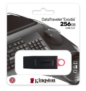 Kingston Exodia DTX/256GB USB 3.2 Flash disk 256GB černý