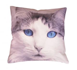 Dekorační polštářek Kočka modrooká 45 x 45 cm