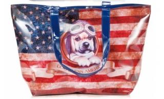 Taška BORSA 33611 AMERICA