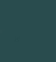 Barevný silikonový obal na Xiaomi Redmi Note 11S Barva: Tmavě zelená
