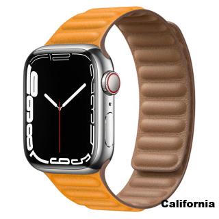 Magnetický pásek na hodinky Apple Watch 42, 44, 45 mm možnosti: California