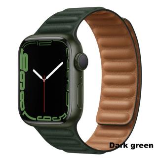 Magnetický pásek na hodinky Apple Watch 42, 44, 45 mm možnosti: Dark green