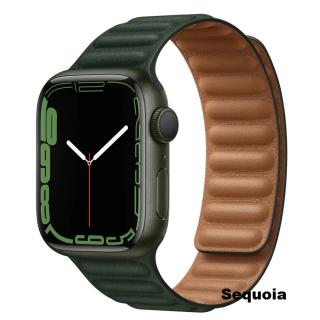 Magnetický pásek na hodinky Apple Watch 42, 44, 45 mm možnosti: sequoia