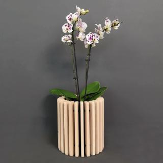Dřevěný obal na květináč válec z masivního dřeva, 20 x 22 cm, dřevěný květináč