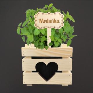 Dřevěný zápich - cedulka na bylinky Meduňka, výška 20 cm, český výrobek