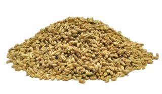 Pšenice - suchá Velikost: 3kg