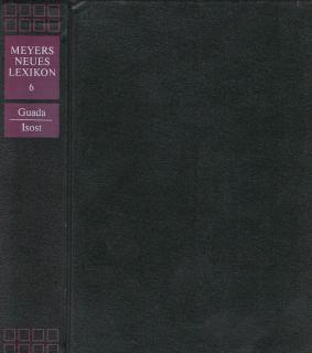 Meyers neues Lexikon 6