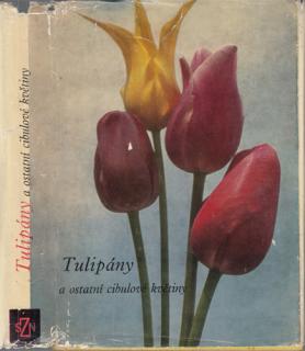 Vaněk - Tulipány a ostatní cibulové květiny (V. Vaněk a kol.)