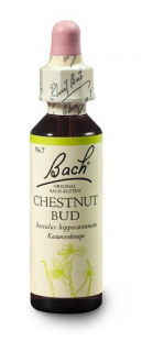 Bach® Chestnut Bud 20ml