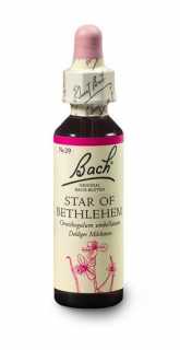 Bach® Star of Bethlehem 20ml