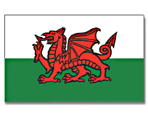 Vlajka Wales o velikosti 90 x 150 cm