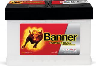 Banner POWER BULL PROfessional 12V 100Ah 800A P10040