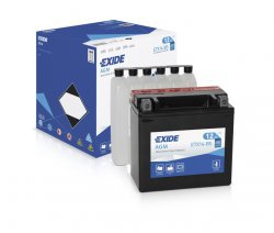 Exide 12V/13Ah Maintenance Free ( YTX15L-BS (new) )