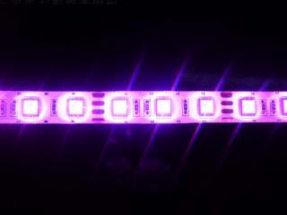 LED diodový pásek- STRIP 5m, LED 3528, růžové světlo (LED diodový ohebný STRIP pásek, 12V, LED 3528, růžové světlo, délka 500cm)