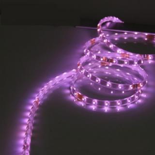 LED diodový pásek- STRIP 5m, LED 5050, fialové světlo (LED diodový ohebný STRIP pásek,12V, LED 5050, fialové světlo, délka 500cm)