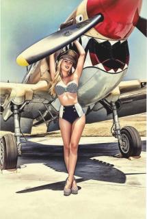 WW hliníkový letecký poster 001