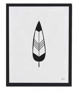 Lilipinso Plakát Feather 30 x 40 cm