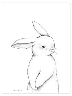 Lilipinso Plakát Hello Bunny 30 x 40 cm