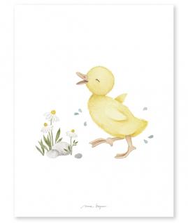 Lilipinso Plakát Liittle Duck 40 x 30 cm
