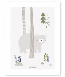 Lilipinso Plakát Medvěd v lese