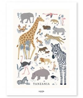 Lilipinso Plakát Tanzanie 40 x 30 cm