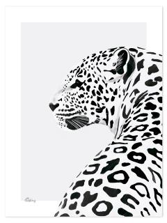 lilLilipinso Plakát Gepard 30 x 40 cm